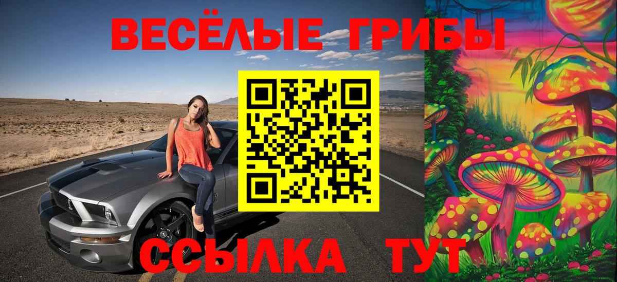 МЕФ Камышин