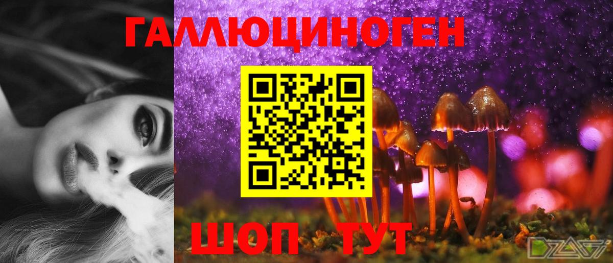 Псилоцибиновые грибы Psilocybe  Вход с VPN  Камышин 