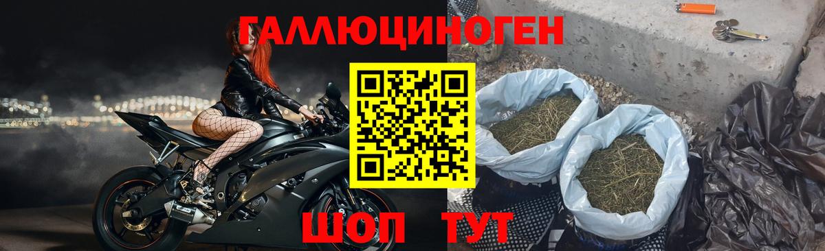 Псилоцибиновые грибы Cubensis Камышин